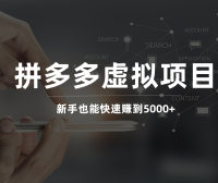 拼多多虚拟电商项目，新手也能月入5000+（附实操教程）