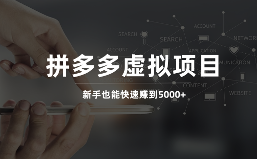 拼多多虚拟电商项目，新手也能月入5000+（附实操教程）