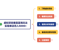 虚拟项目垂直玩法，冷门爆品+蓝海布局，单店实现月入5000+
