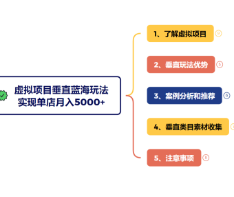 虚拟项目垂直玩法，冷门爆品+蓝海布局，单店实现月入5000+