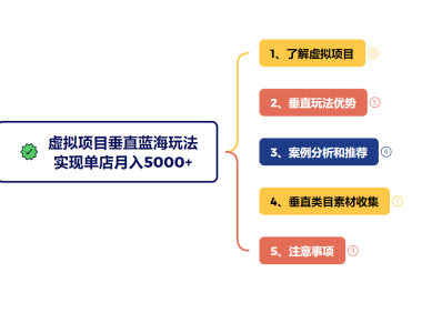 虚拟项目垂直玩法,冷门爆品+蓝海布局,单店实现月入5000+
